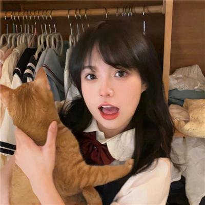 猫之茗