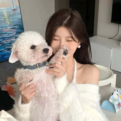 能看到首尔吗